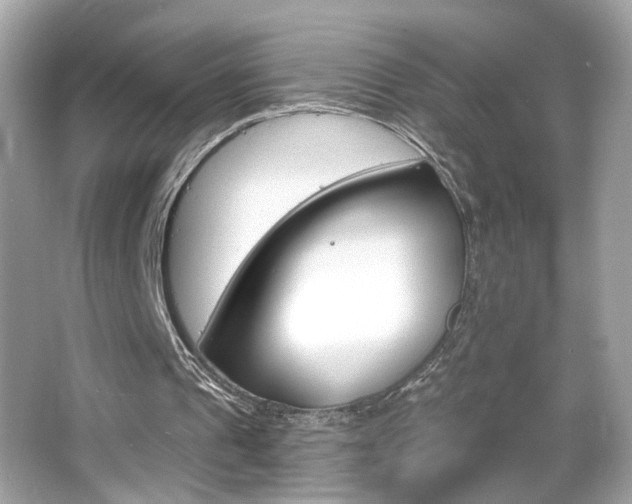 X0000066530241200603171036
