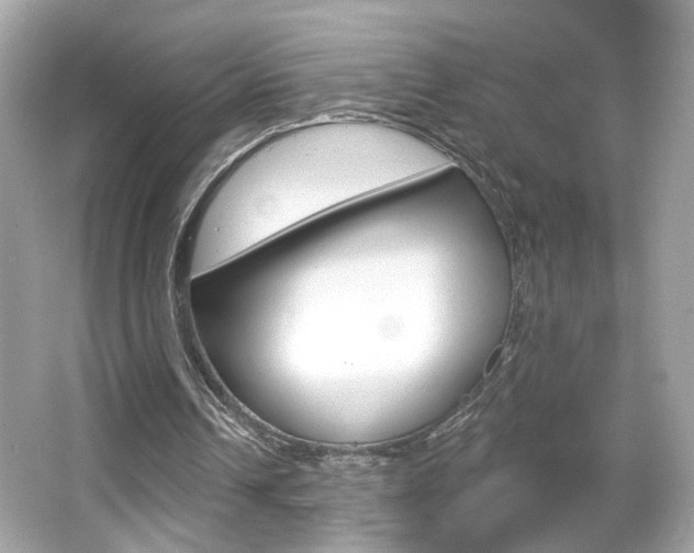 X0000066530242200603171036