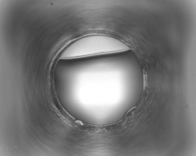 X0000066530243200603171036