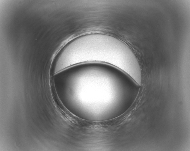 X0000066530244200603171036