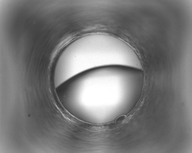 X0000066530245200603171036