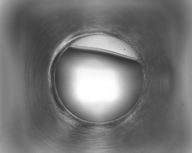 X0000066530246200603171036