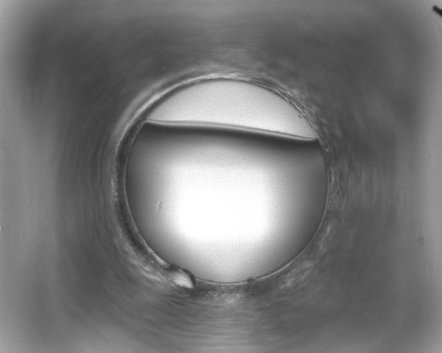 X0000066530247200603171036