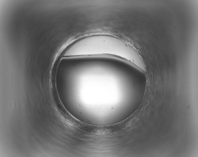 X0000066530248200603171036