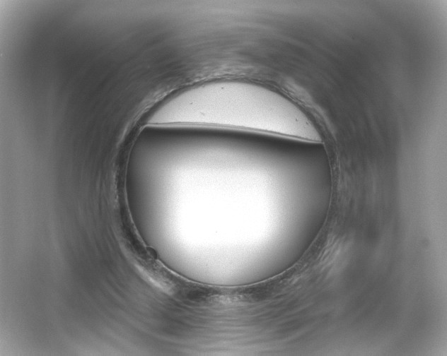 X0000066530250200603171037