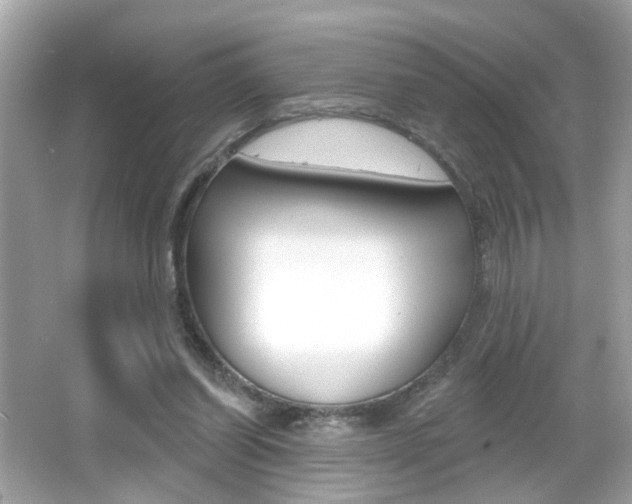 X0000066530254200603171037