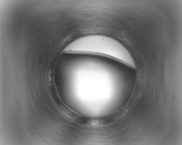 X0000066530264200603171037