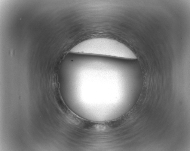 X0000066530272200603171037