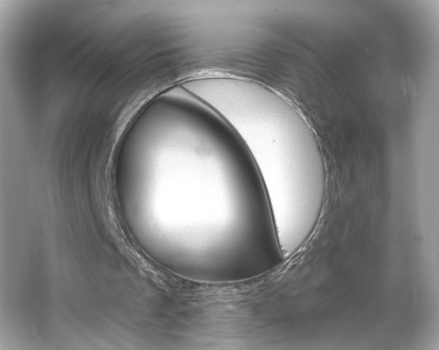 X0000066530289200603171036