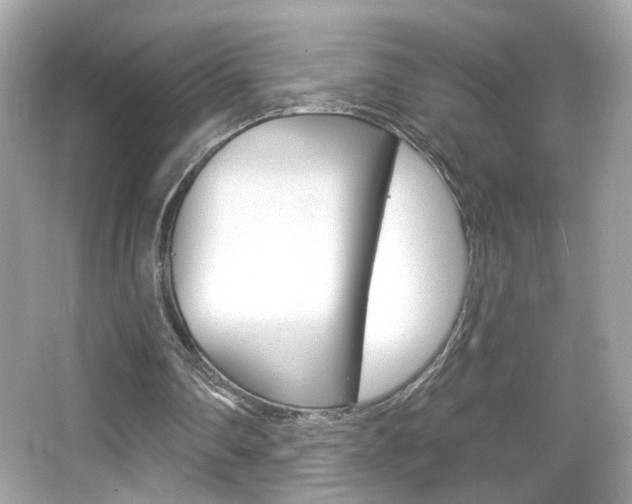 X0000066530290200603171036