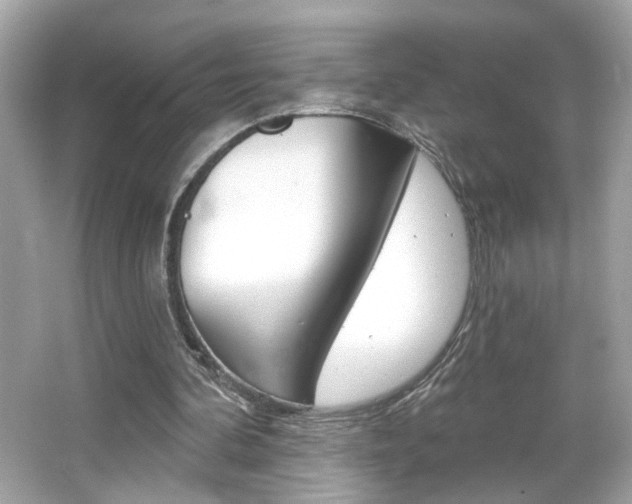 X0000066530292200603171036