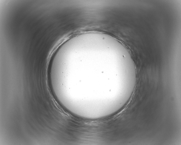 X0000066530293200603171036