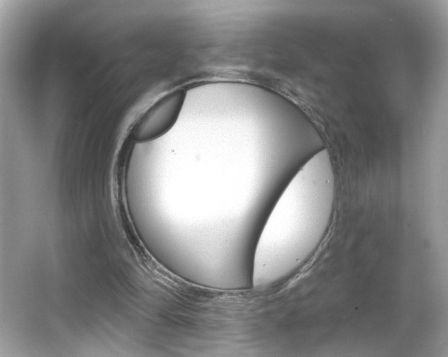 X0000066530294200603171036