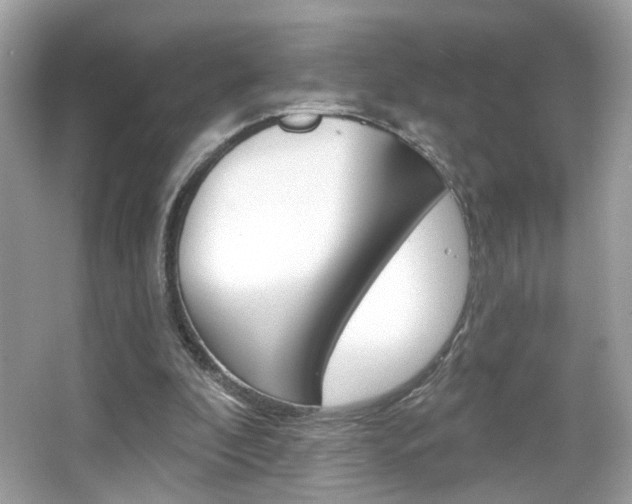 X0000066530296200603171036
