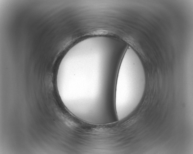 X0000066530300200603171036