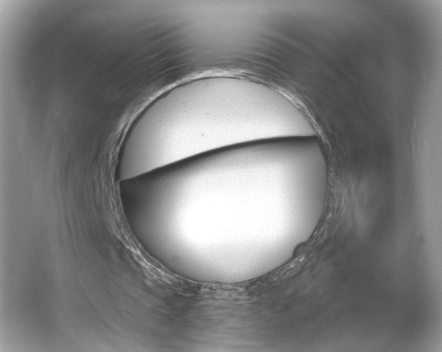 X0000066530337200603171035