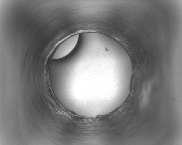 X0000066530338200603171035