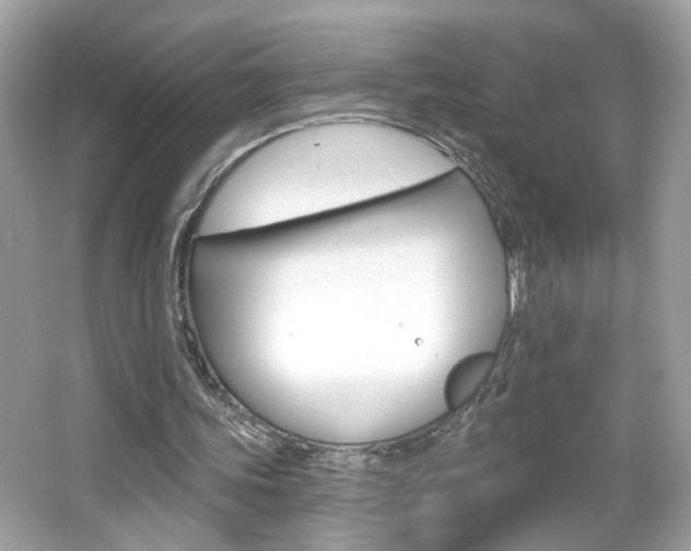 X0000066530339200603171035
