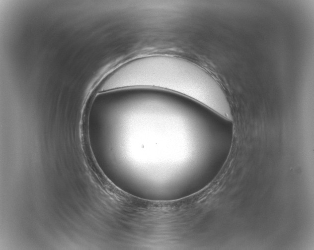 X0000066530340200603171035