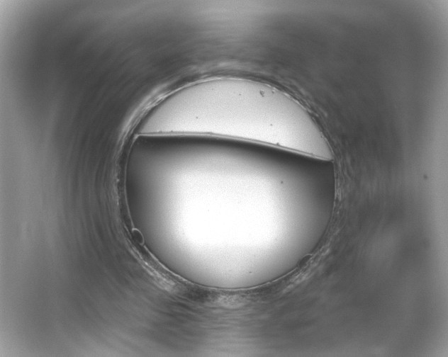 X0000066530341200603171035