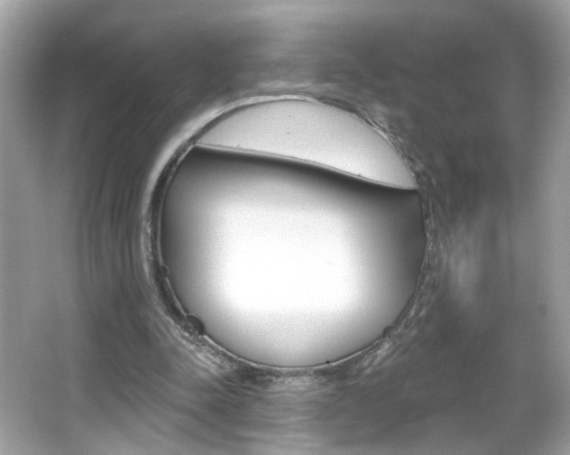 X0000066530342200603171035