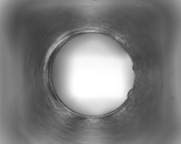 X0000066530343200603171035