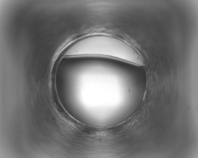 X0000066530344200603171035