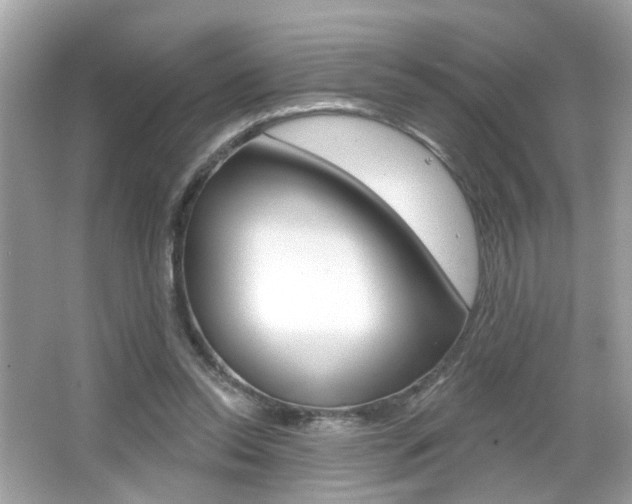 X0000066530350200603171035