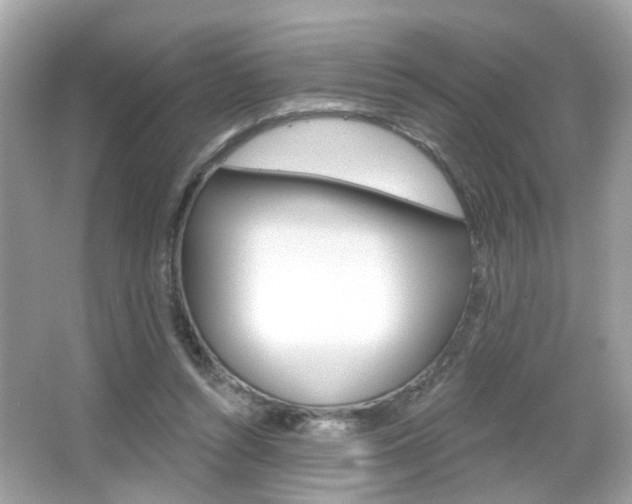 X0000066530352200603171035