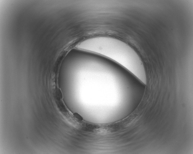 X0000066530356200603171035