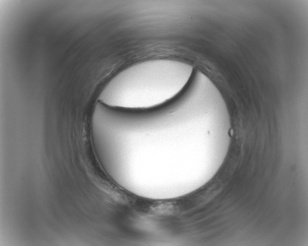 X0000066530362200603171035