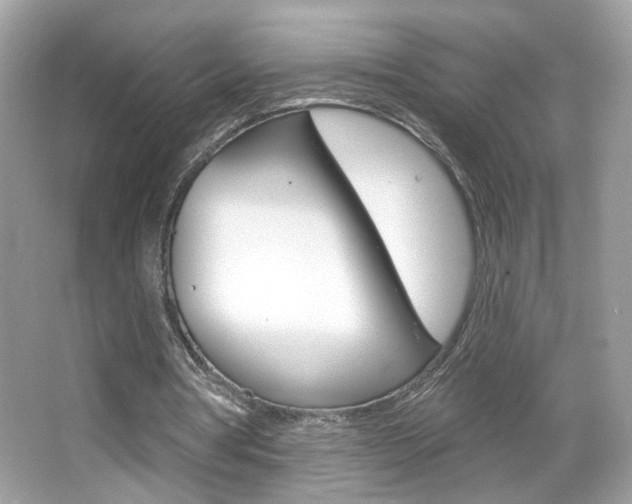 X0000066530386200603171035