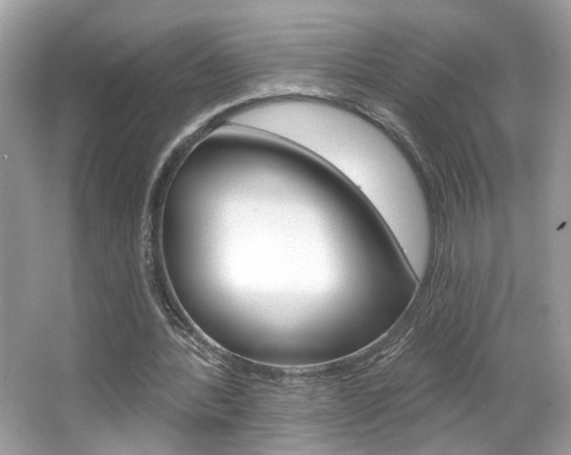 X0000066530388200603171035