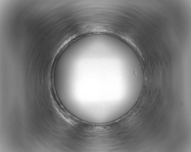 X0000066530390200603171035