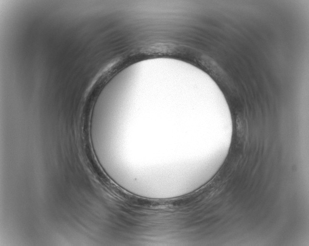 X0000066530396200603171035