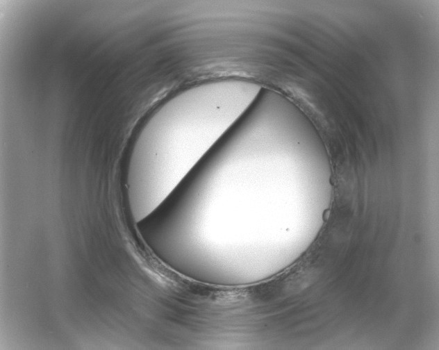 X0000066530398200603171035