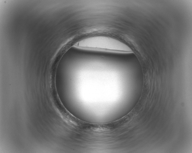 X0000066530400200603171034