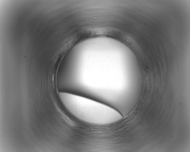 X0000066530406200603171034