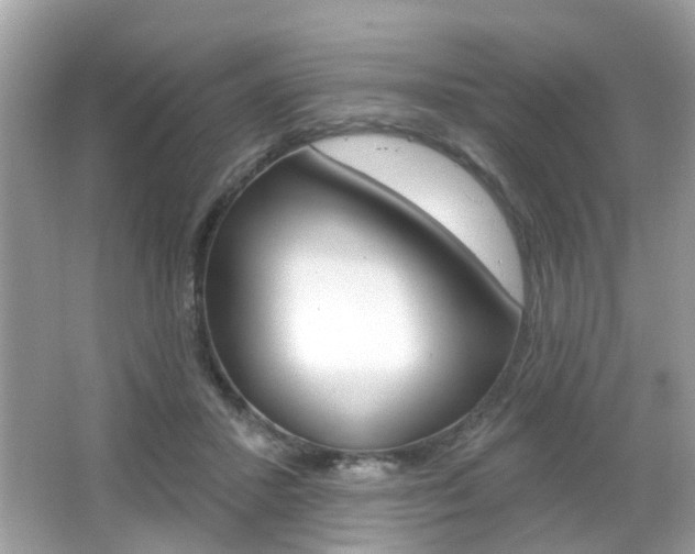 X0000066530407200603171034