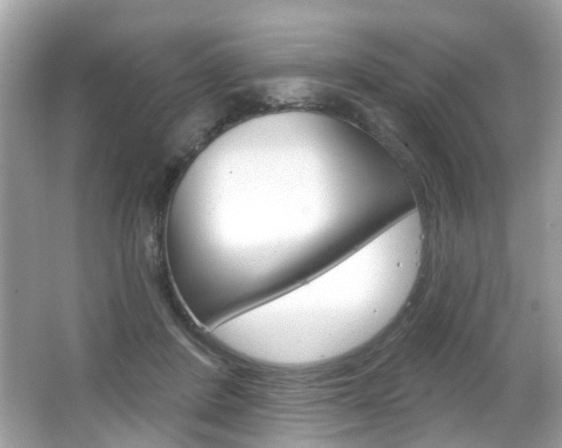 X0000066530408200603171034