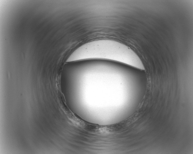 X0000066530423200603171034