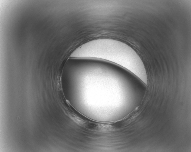 X0000066530429200603171034