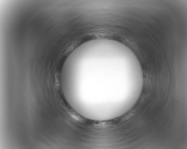 X0000066530430200603171034