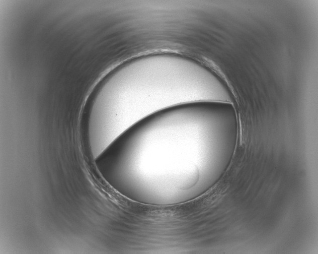X0000066530435200603171033