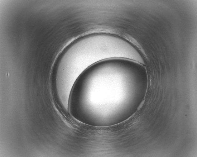 X0000066530436200603171033