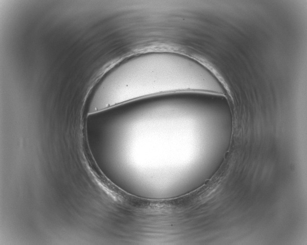 X0000066530437200603171033