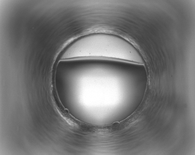 X0000066530438200603171033