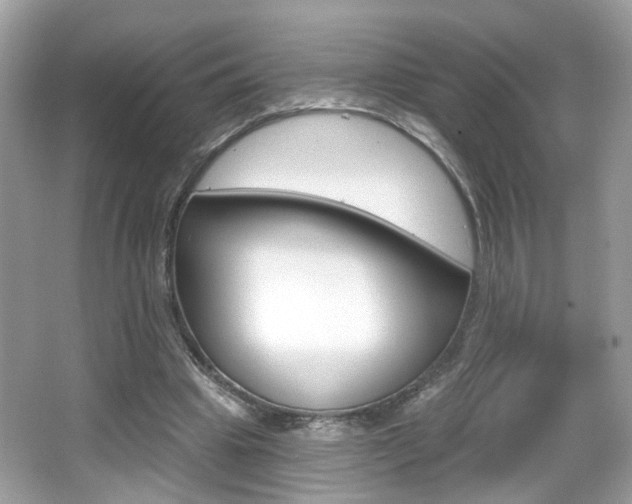 X0000066530441200603171033