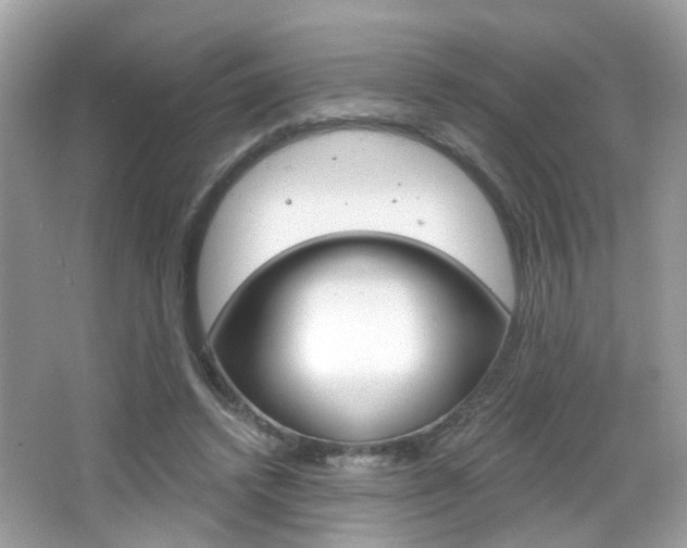 X0000066530448200603171033