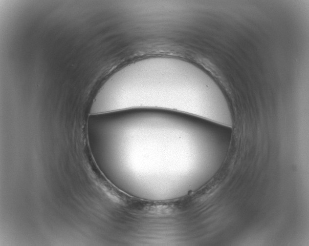 X0000066530449200603171033